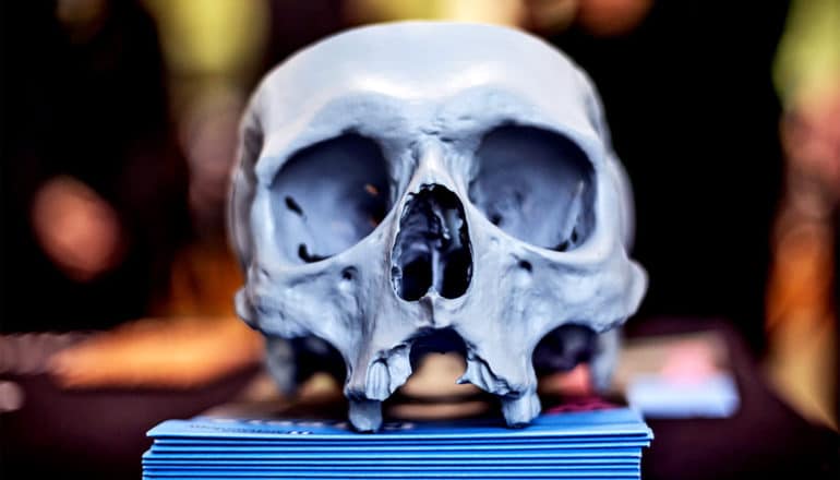 A 3D-printed skull sits on a blue platform