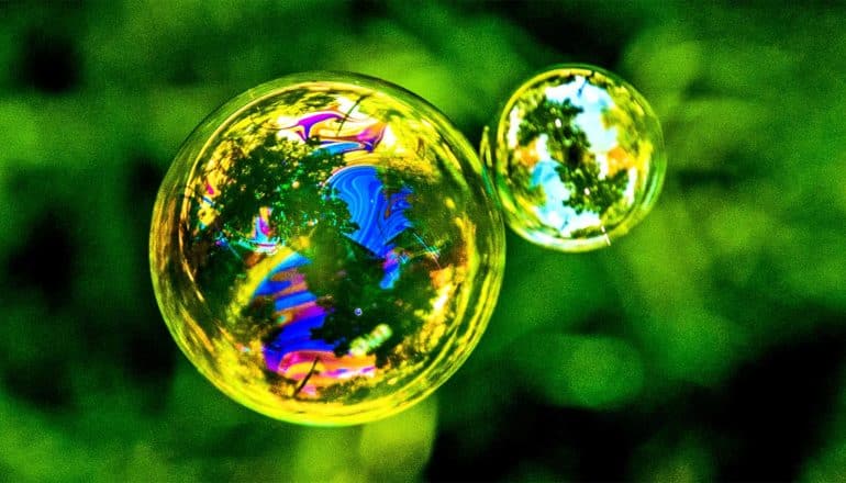 Two bubbles look like dividing cells against a green background