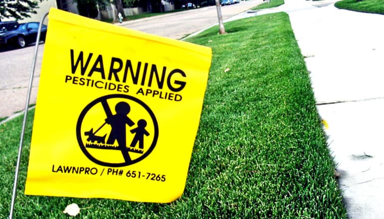 A yellow sign warns people about pesticides on grass next to a sidewalk