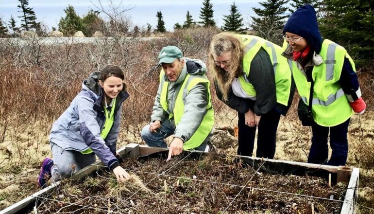 Researchers look down at a garden plot in a field, all wearing yellow safety vests