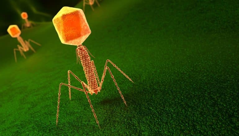 orange bacteriophage (column on four "legs") on textured surface