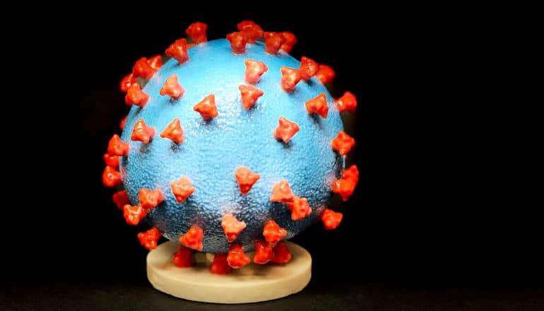 A 3D-printed model of the virus that causes COVID-19