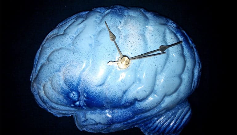 A blue brain model has clock hands on it