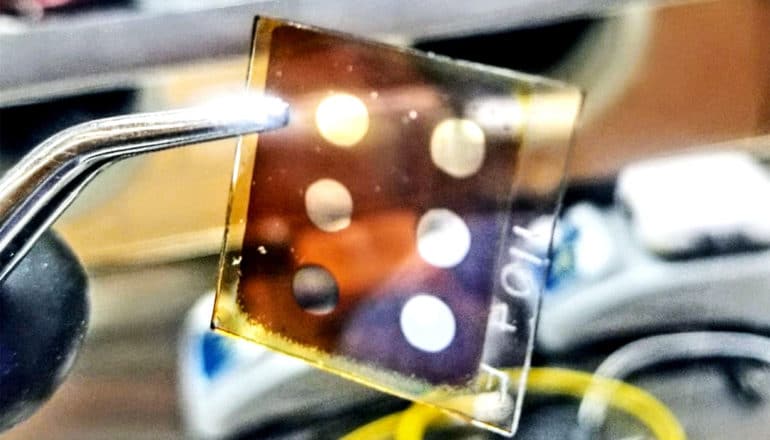 A research holds a perovskite solar cell prototype with a pair of tweezers. It's a thin film with 6 clear holes in it