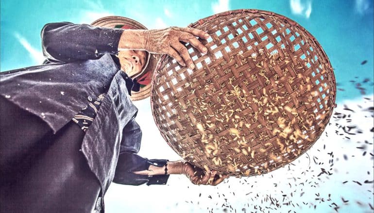 A woman strains rice through a woven basket