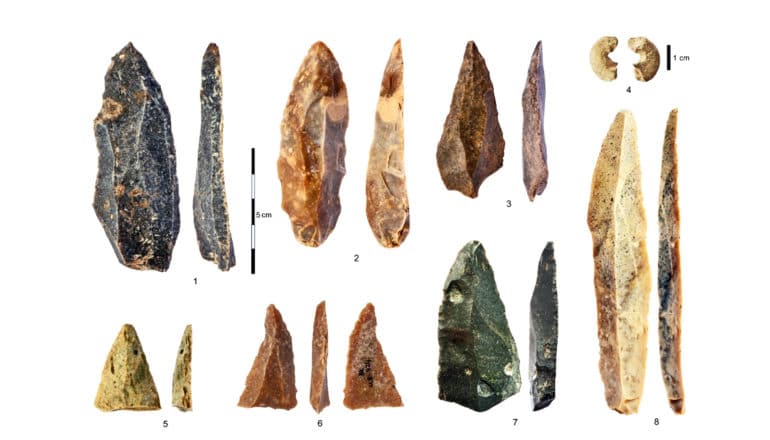 8 sets of stone tools sit on a white background, ranging in color from dark grey to light brown