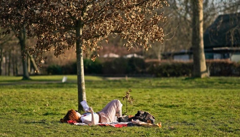 person reads beneath tree in park