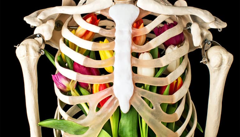 A rib cage model is filled with flowers against a black background