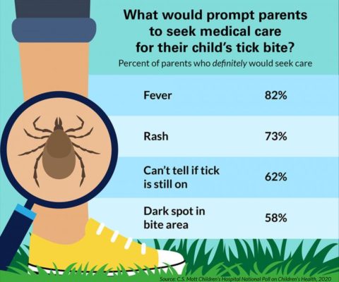 bug_bites_infographic - Futurity