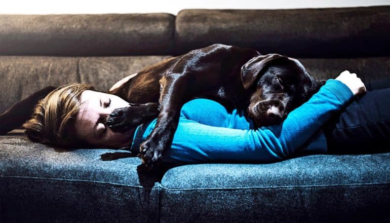 A woman sleeps on the couch with her dog laying on her, its paws on her face