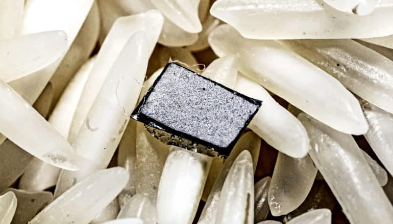 The implant is a square of gray and black, sitting in a bunch of rice grains