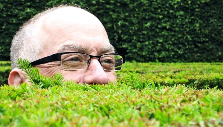 A man wearing glasses pokes his head above a hedge maze