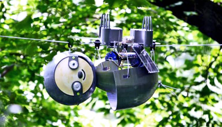 The SlothBot hangs on a wire upside-down and with a smiling face