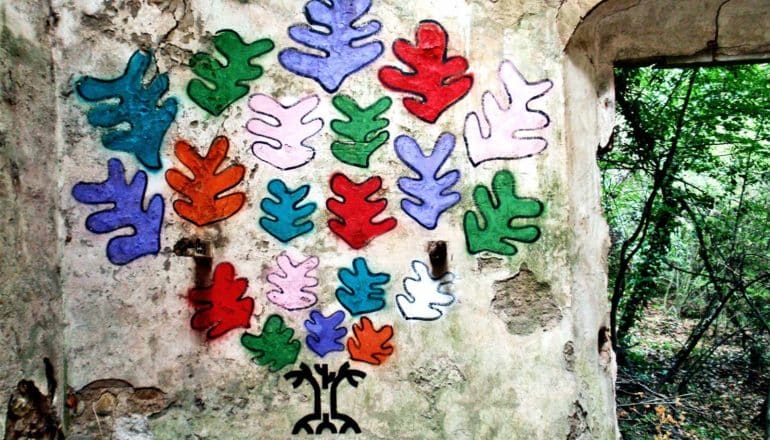 Graffiti on a concrete wall in a forest has colorful leaves coming off a tree