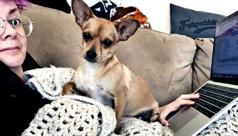 A woman lays on the couch with her dog on her stomach while working on her laptop