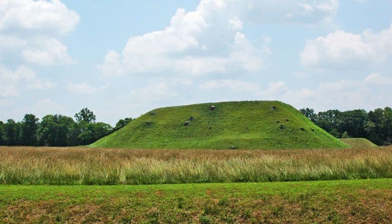 earthen mound in grass