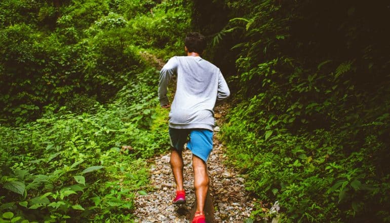 sweaty person runs on woods trail