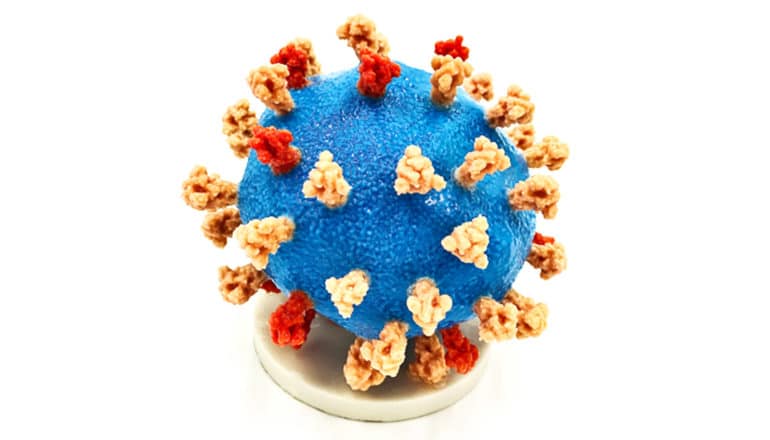 A 3D-printed model of the SARS-COV-2 virus is a blue ball with orange and red spike proteins on it