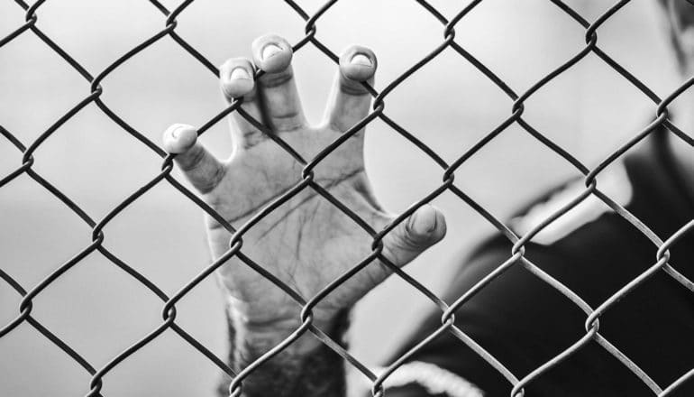 fingers grasp chainlink fence