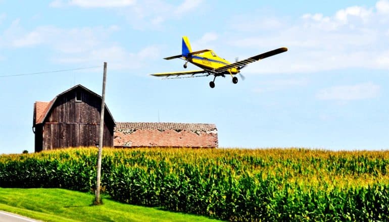 A yellow crop-duster plane flies over a corn field with a barn house in the background