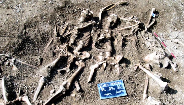 Unearthed skeletons lay in a large grave