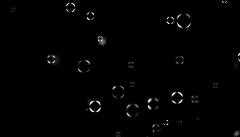 white bubbles on black