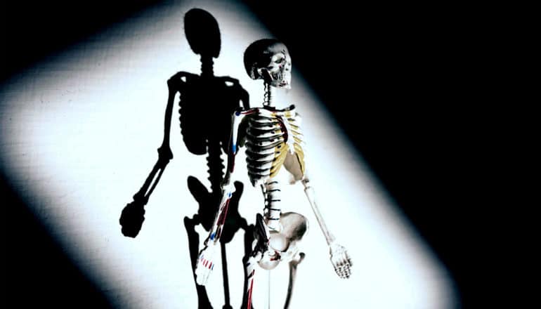 A skeleton model has a spotlight on it, casting a shadow on the wall behind it