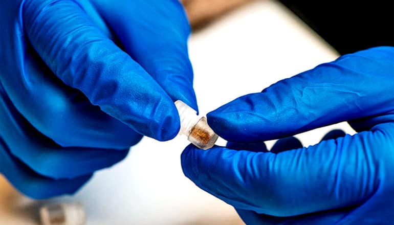 A research wearing blue gloves holds the small capsule