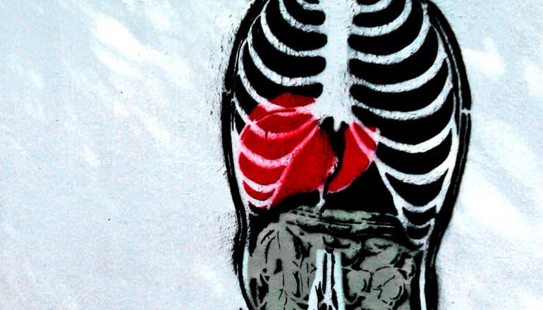 Street art of a black and white rib cage and a bright red liver on a white wall