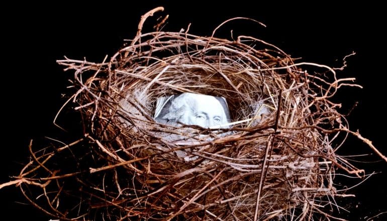 A bird's nest has a folded dollar bill in it