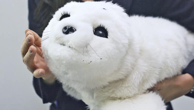 hands hold plush seal robot