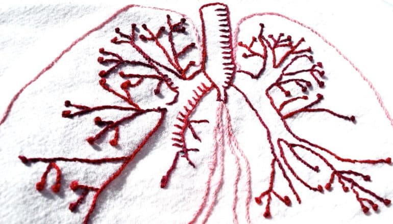 Lungs embroidered in pink and red on white fabric