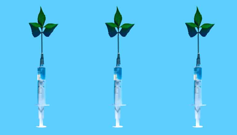 three syringes with leaf at tip