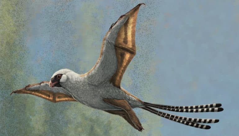 bat-winged dinosaur in the air