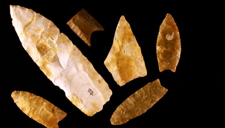 Clovis stone spear points on a black background