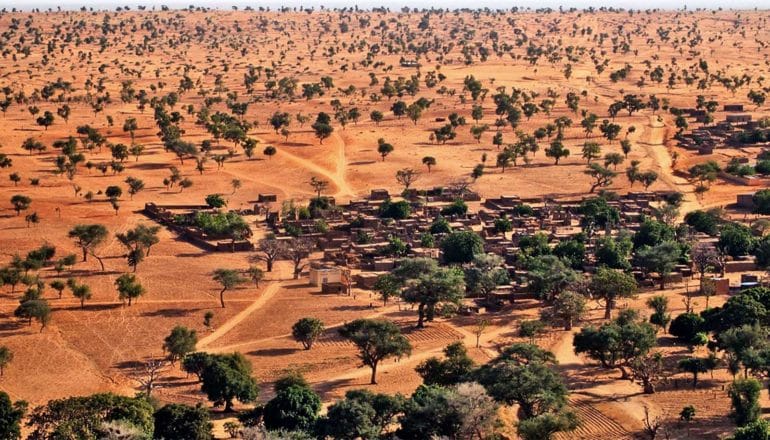 Aerial shot of the Sahara dotted with trees