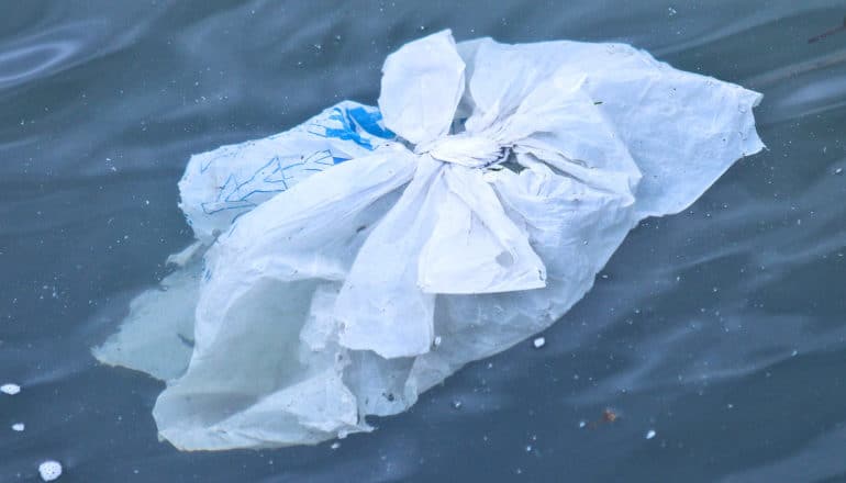 plastic bag in water