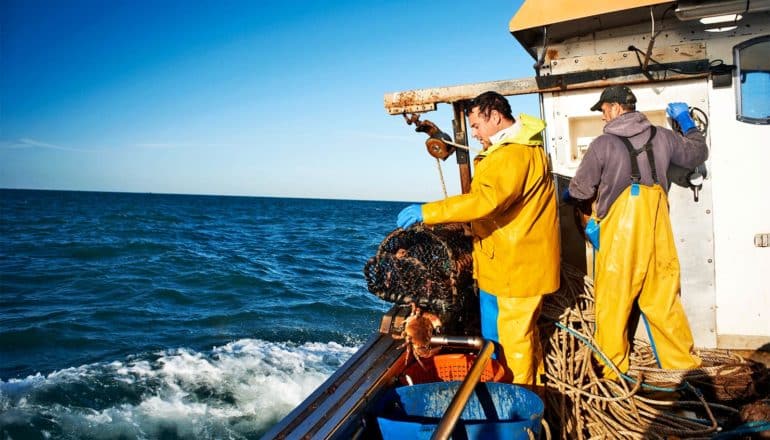 Two fisherman stand on a boat while one examines a net