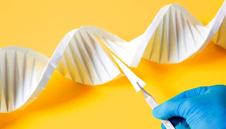 A blue-gloved hand snips a piece out of a white paper DNA model