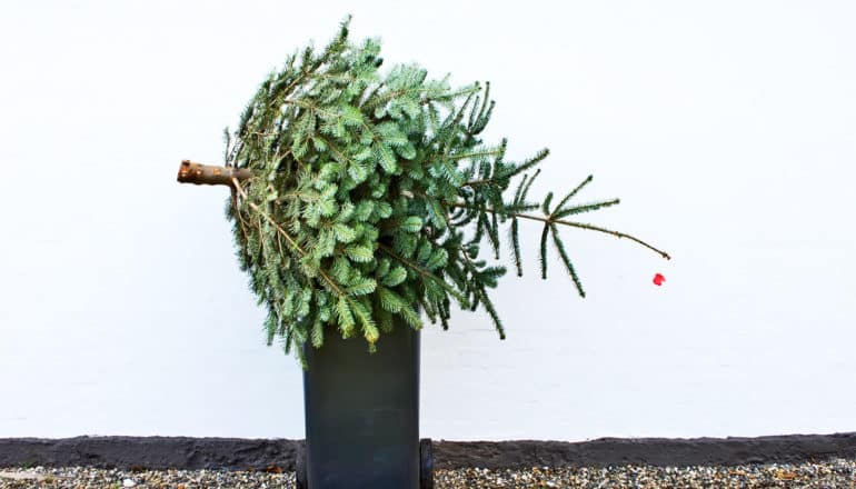 christmas tree on trash can