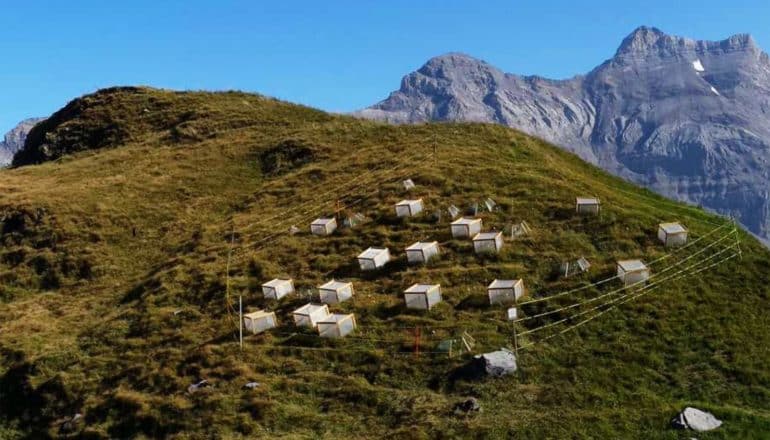 cages on alpine mountaintop