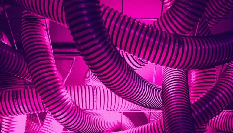 magenta tubes