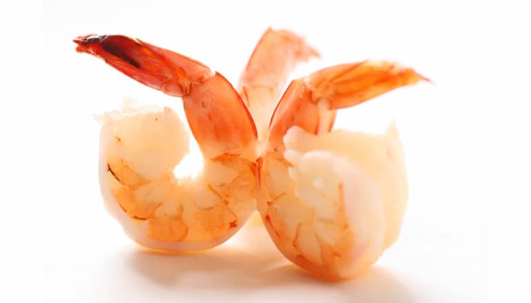 three cooked shrimp on white background