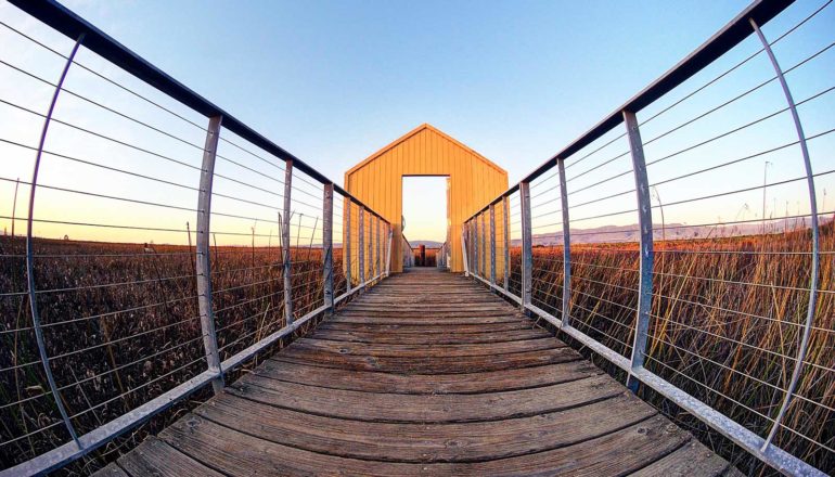 walkway in salt marsh