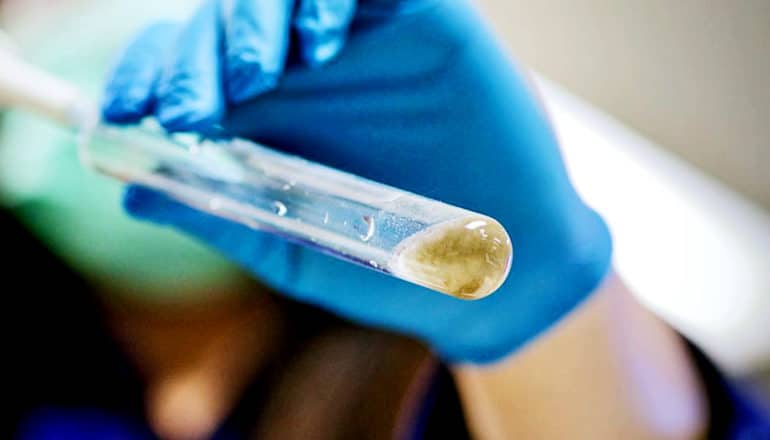 A research holds a vial of bacteria eating sludge