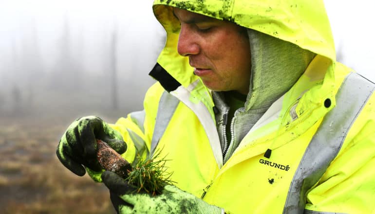 person in neon yellow jacket holds baby tree