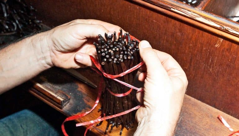 A person wraps ribbon around a bundle of vanilla bean pods