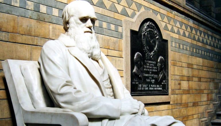 A statue of Charles Darwin sitting on a bench