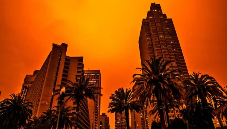 Skyscrapers and palm trees look black against the dark orange sky