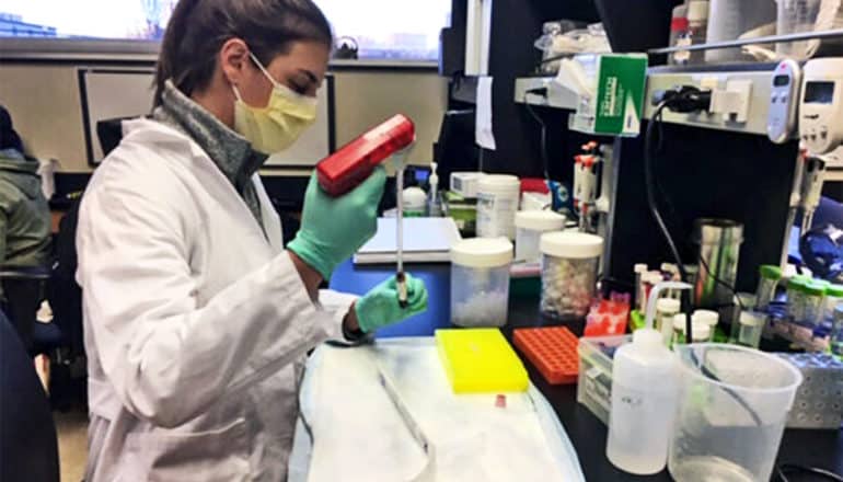 A researcher transfers a sample in the lab